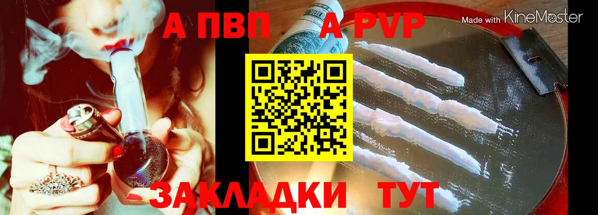 как найти закладки  Alpha-PVP  APVP кристаллы  Alfa_PVP СК КРИС  Алексин  A-PVP СК 