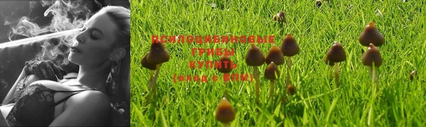 соль курить ск Новодвинск