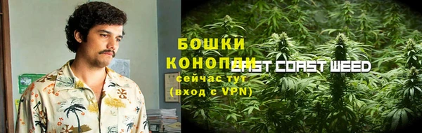 ГАЛЛЮЦИНОГЕННЫЕ ГРИБЫ Новокубанск