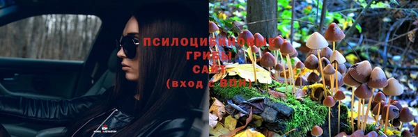 СК Нефтегорск