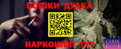 прущие грибы Абинск