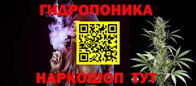 apvp Абакан