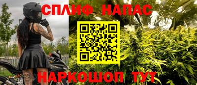 прущие грибы Абинск
