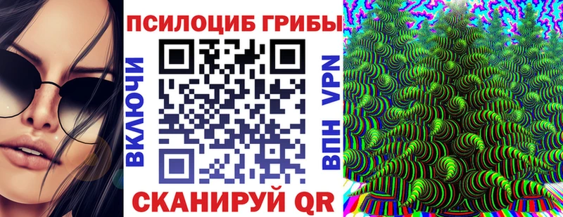 где купить наркоту  дарк нет официальный сайт  Галлюциногенные грибы Psilocybine cubensis  Алексин 
