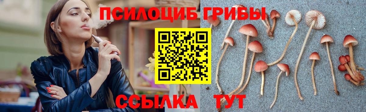 Галлюциногенные грибы прущие грибы  наркота  Алексин 