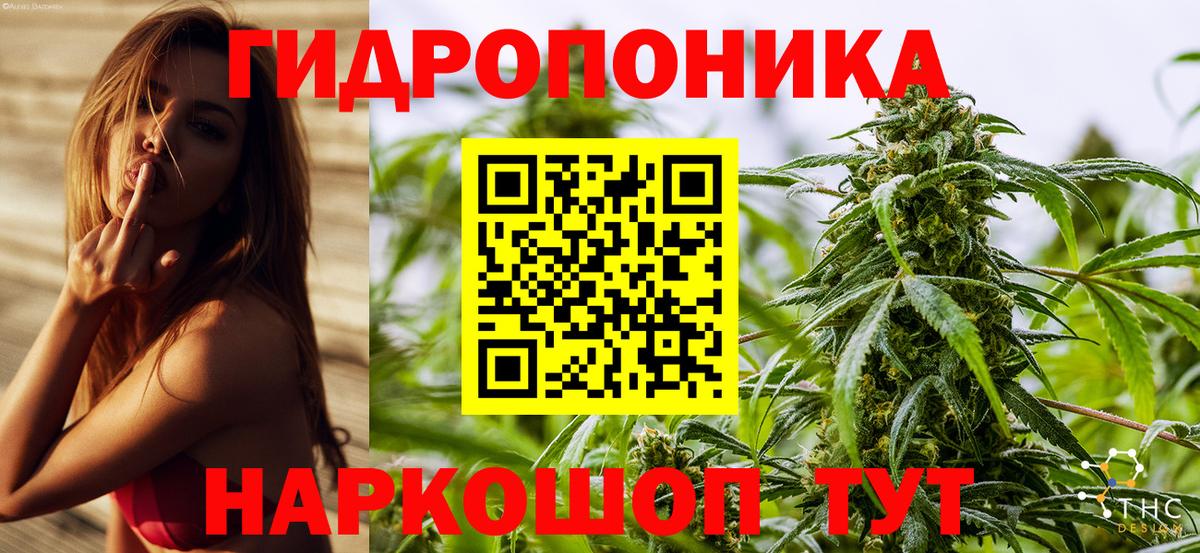 Марихуана конопля Алексин